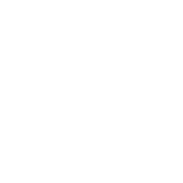footer-logo